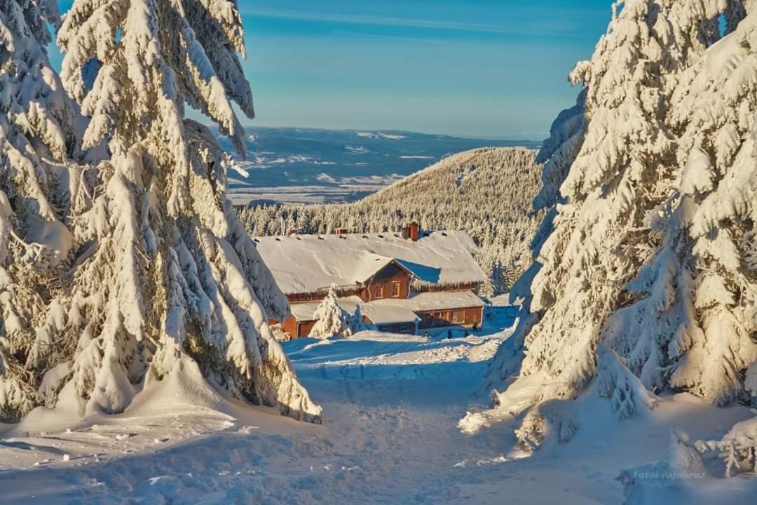 Agroturystyka,, Ranczo Kruszynki" Stronie Slaskie Exterior foto